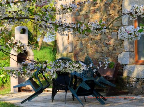 Rose cottage in Saint-Clet