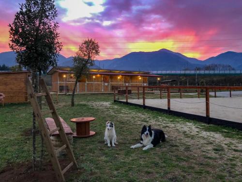 La Tenuta del Campo di Sopra