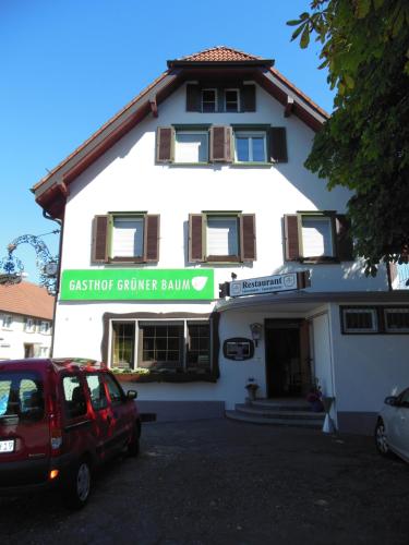 Grüner Baum - image 13