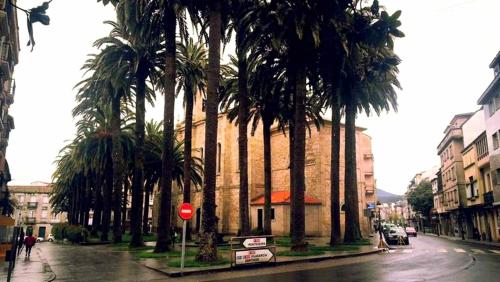 Albergue Albor - image 8