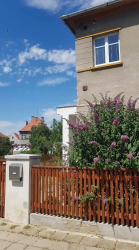 Penzion Flóra- útulný byt s terasou (Penzion Flora- utulny byt s terasou) in Žatec