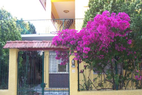 Casa al mare Isola di Sant'Antioco