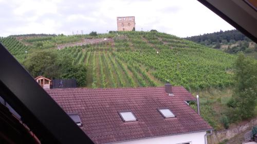 Kilátás, Giebelzimmer mit Weinbergblick in Kernen