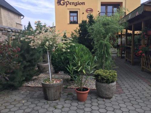 Vista exterior, G Penzion in Stary Smokovec