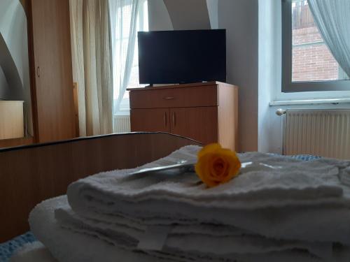 Casa Merisor - image 7