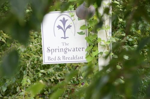 The Springwater Bed and Breakfast