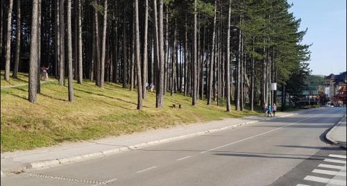Zlatna Dvojka D - image 7