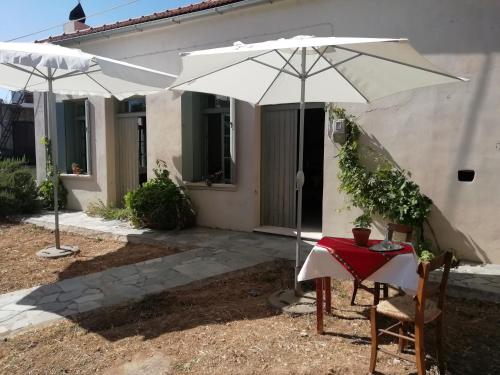  Lasithi Plateau Family House-Tzermiado-Dikti hikes in 72052 Tzermiádon