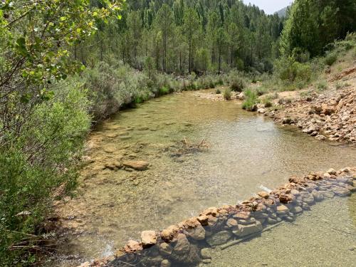 Apartamento Rural Sierra de Segura in Salobre