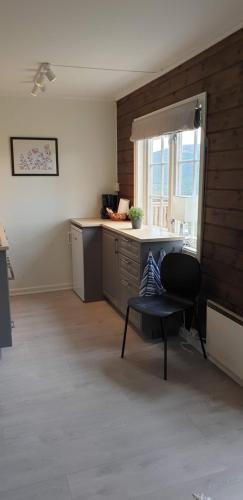 Oppdal Alpintun Stølen ski in - ski out