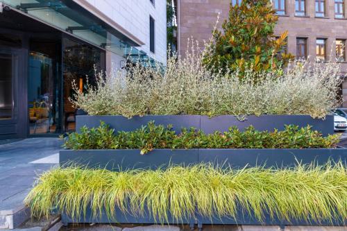 奧帕爾酒店 OPALE HOTEL