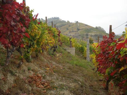 Eno-Agriturismo Cascina L'Arché - image 4