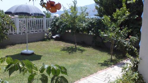 Villa Iris - image 7