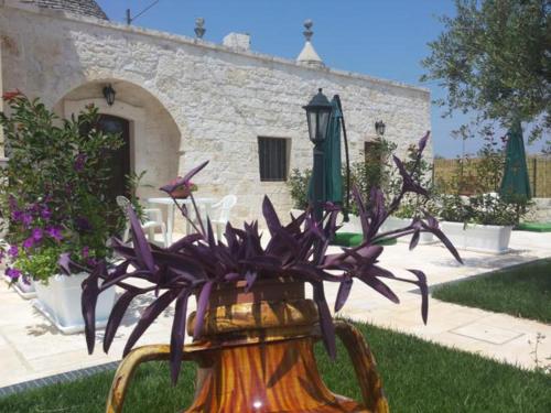 . Dimora Matarrese B&B Trulli