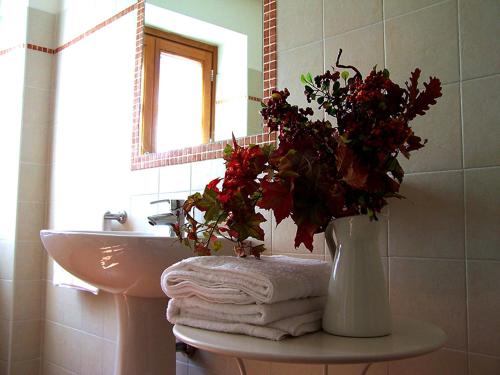 Agriturismo Ca del Sartù