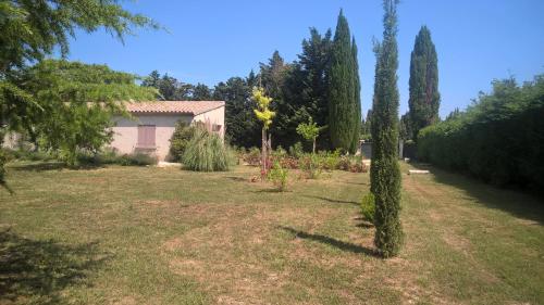 Kert, LES CYPRES in Maillane