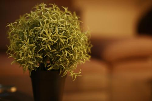 Moscova Attic Near Duomo - main image