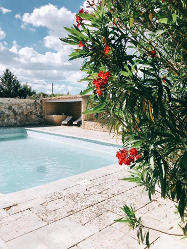 Domaine De Carraire by null