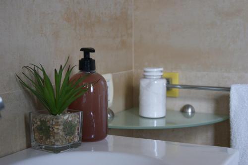 Dream Flat - image 3