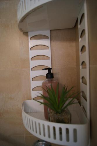 Dream Flat - image 7