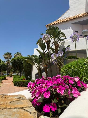Exquisite Roof Top Terrasse Appartement Front Line Beach