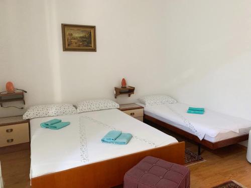  Adria in Promajna