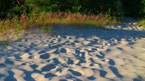 Provincija - image 14