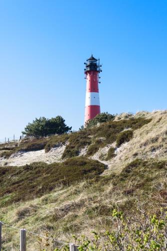 Hûs lepen Wil Hûs lepen Wil