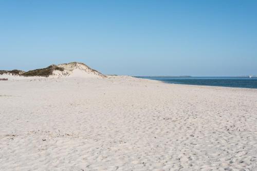 Hûs lepen Wil Hûs lepen Wil