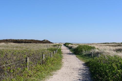 Hûs lepen Wil Hûs lepen Wil