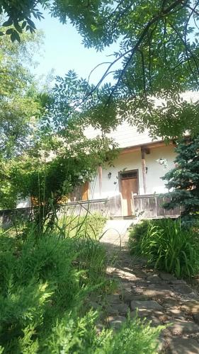 Casa Pintea - Bucovina in Városközponthoz közel