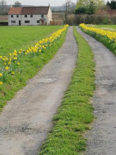 FIELDVIEW FARMHOUSE BED AND BREAKFAST