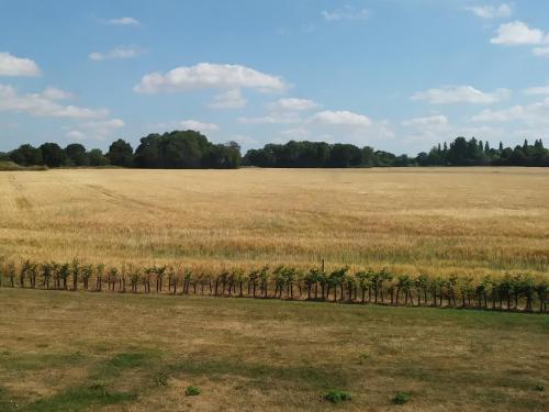 FIELDVIEW FARMHOUSE BED AND BREAKFAST