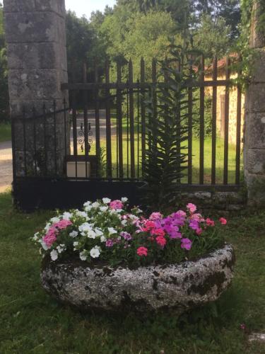 Le Palland photo 19