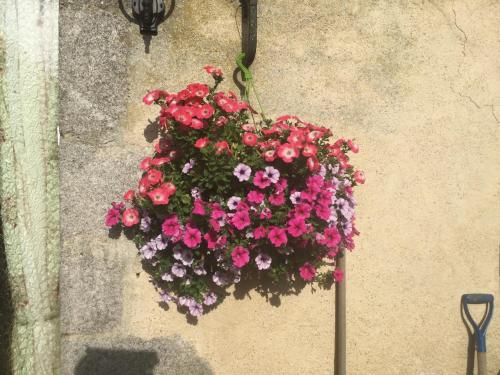 Le Palland photo 22