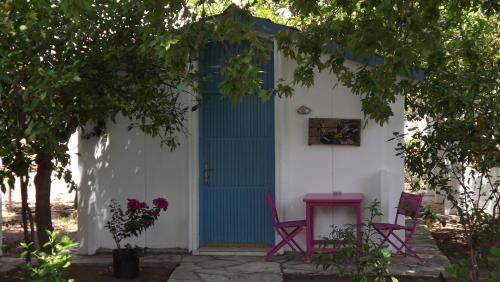 Zebu Hotel Adrasan - image 8