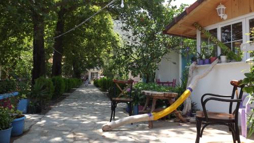 Zebu Hotel Adrasan - image 11