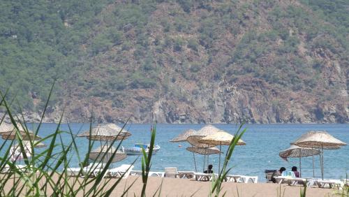 Zebu Hotel Adrasan - image 12