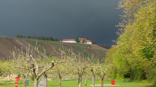 Gasthaus zur Sonne - image 11