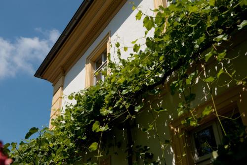 Gasthaus zur Sonne - image 4