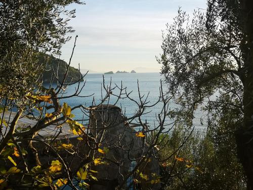 Blue Eyes – Nerano, CO