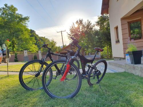 Lodge Zeleni svet - image 11