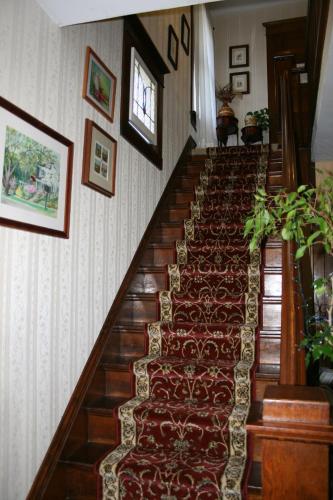 Serendipity Bed and Breakfast - 로비