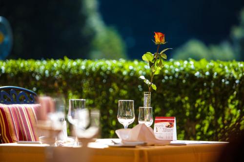 Jungfrau Hotel - image 7