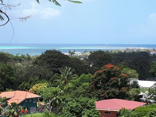 The Nest Tobago Apartments