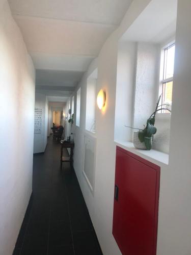 Bjerrumgaard - main image