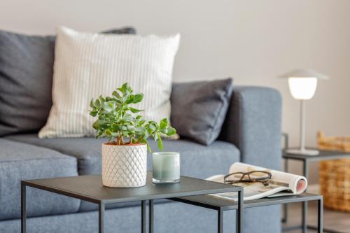 cosy grey apartments Room Type - apartment cozy gray 'comfort - double' cosy grey apartments Room Type - apartment cozy gray 'comfort - double'