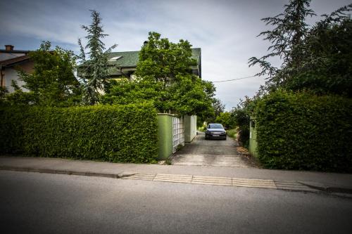 Apartman Magnolia - image 6