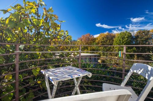 Lori in ราโซปาสโน