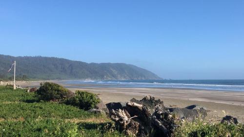 Crescent Beach Motel - image 2